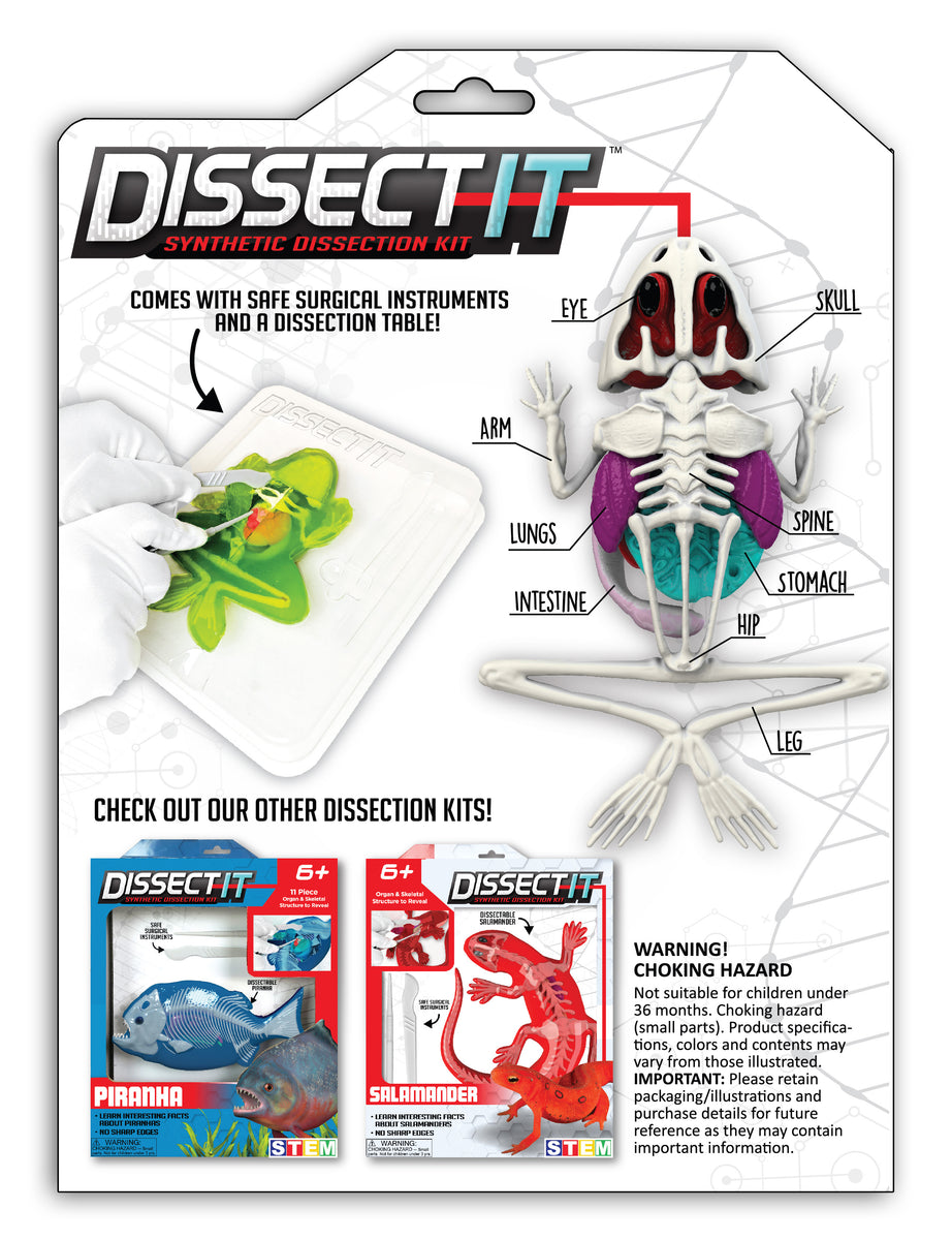 GSC Frey Scientific Dissecting T-Pin for Classroom Dissection, 2 in L