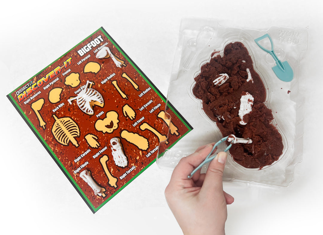 Dissect-It Discover-It – Top Secret Toys