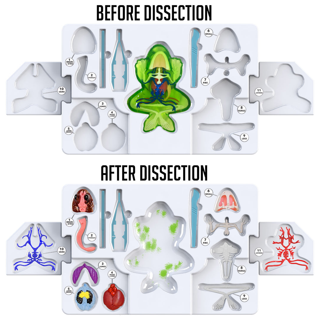 Dissect-