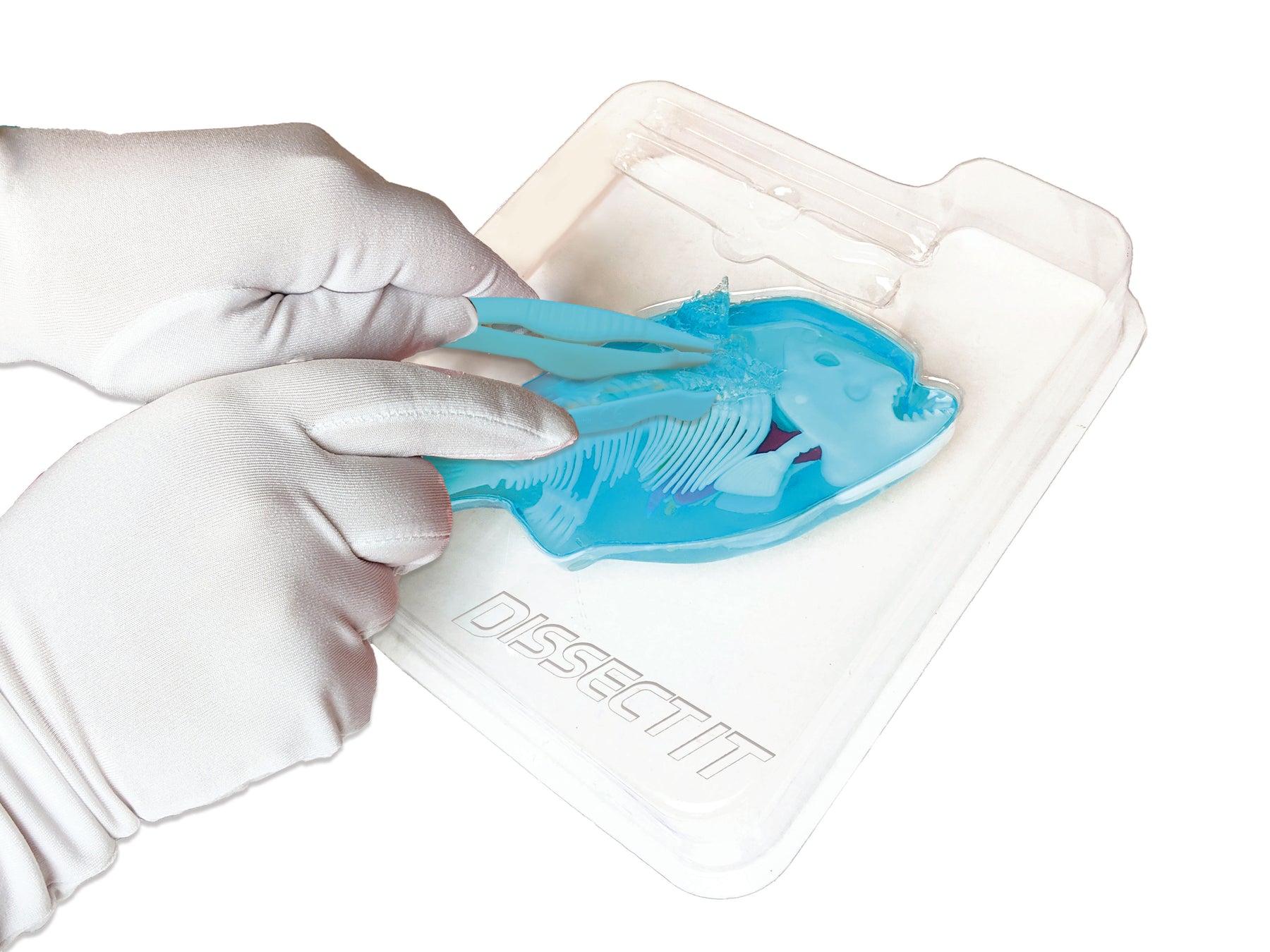 Dissect-It – Top Secret Toys