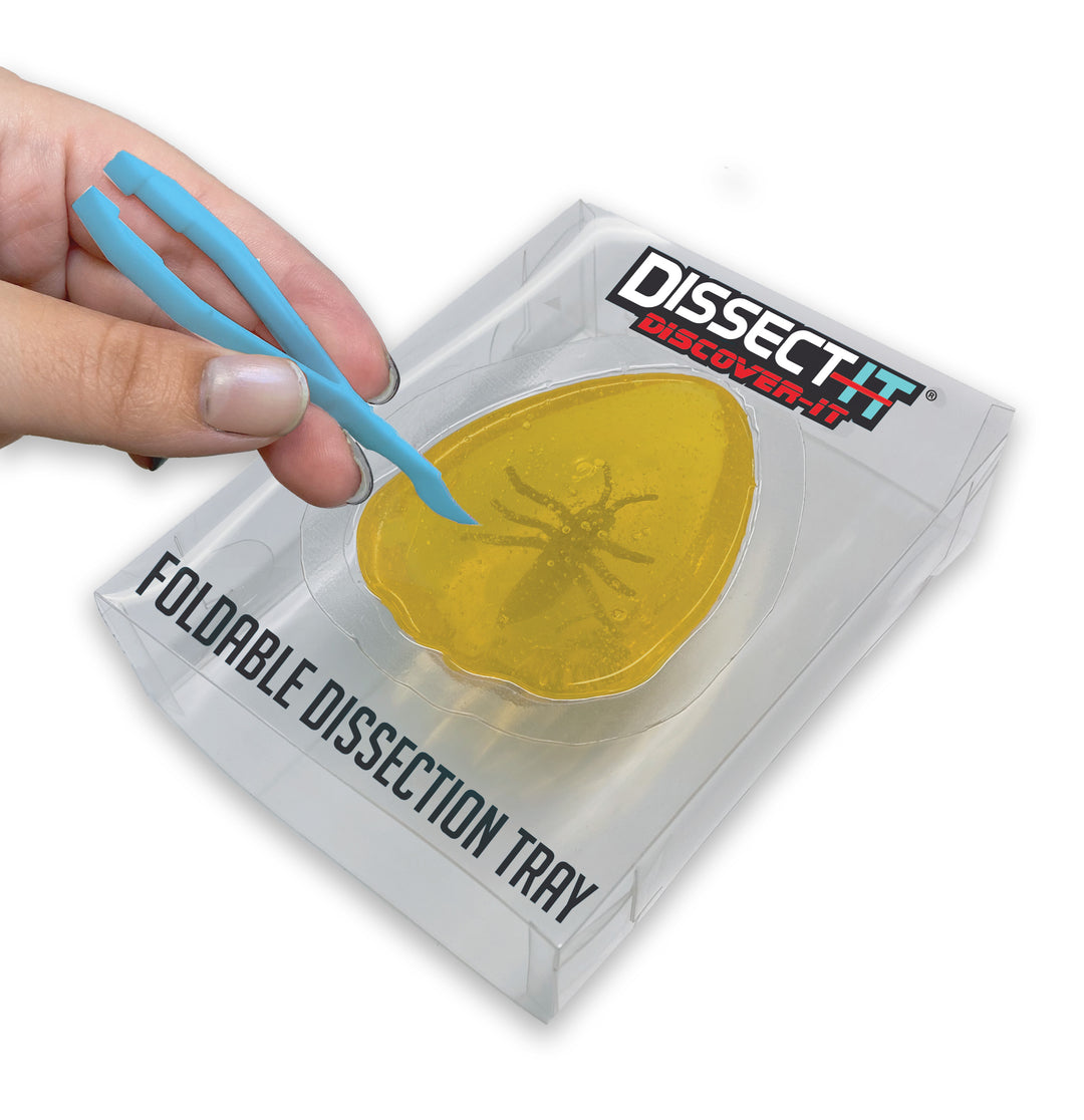 Dissect-It Discover-It – Top Secret Toys