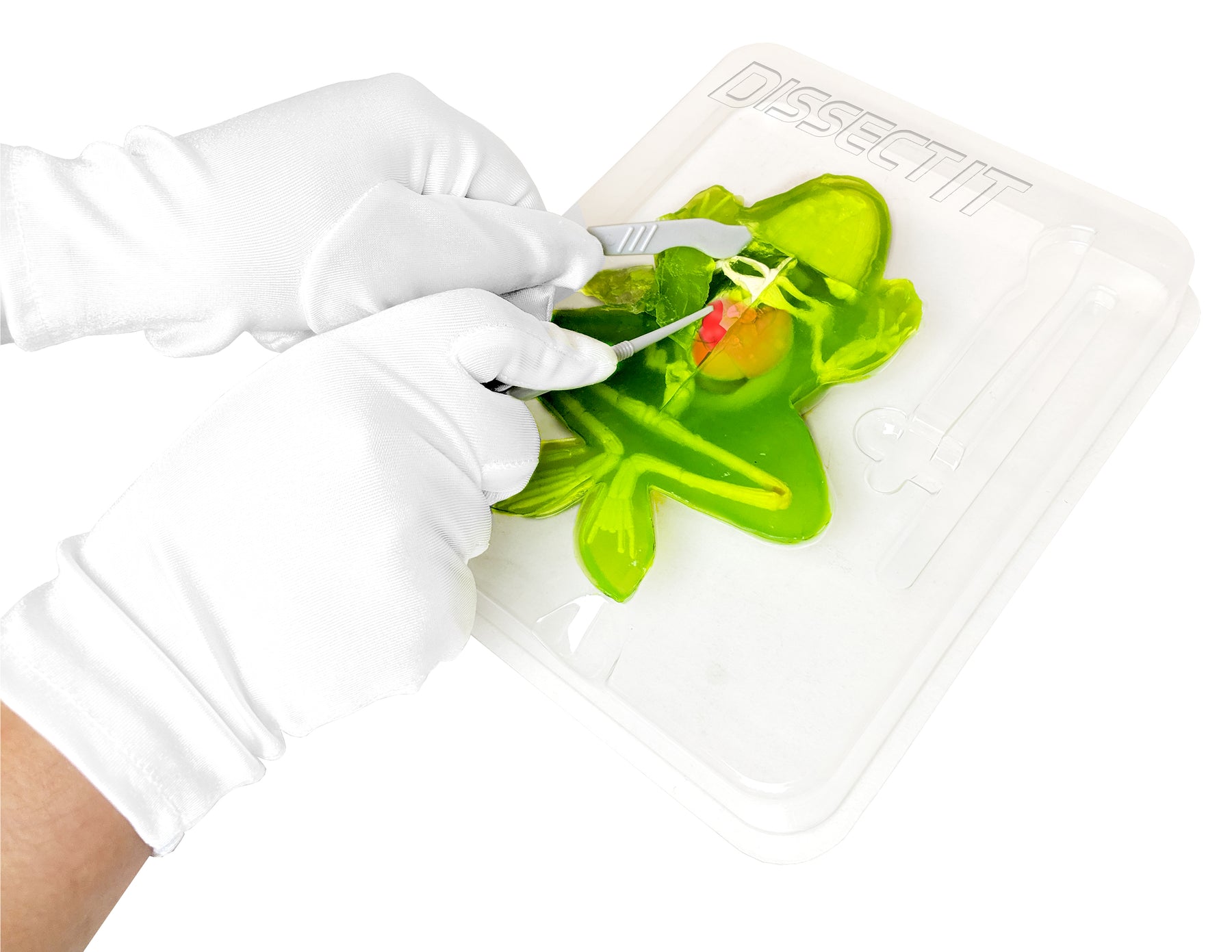 Disecft Dissect-It – Top Secret Toys