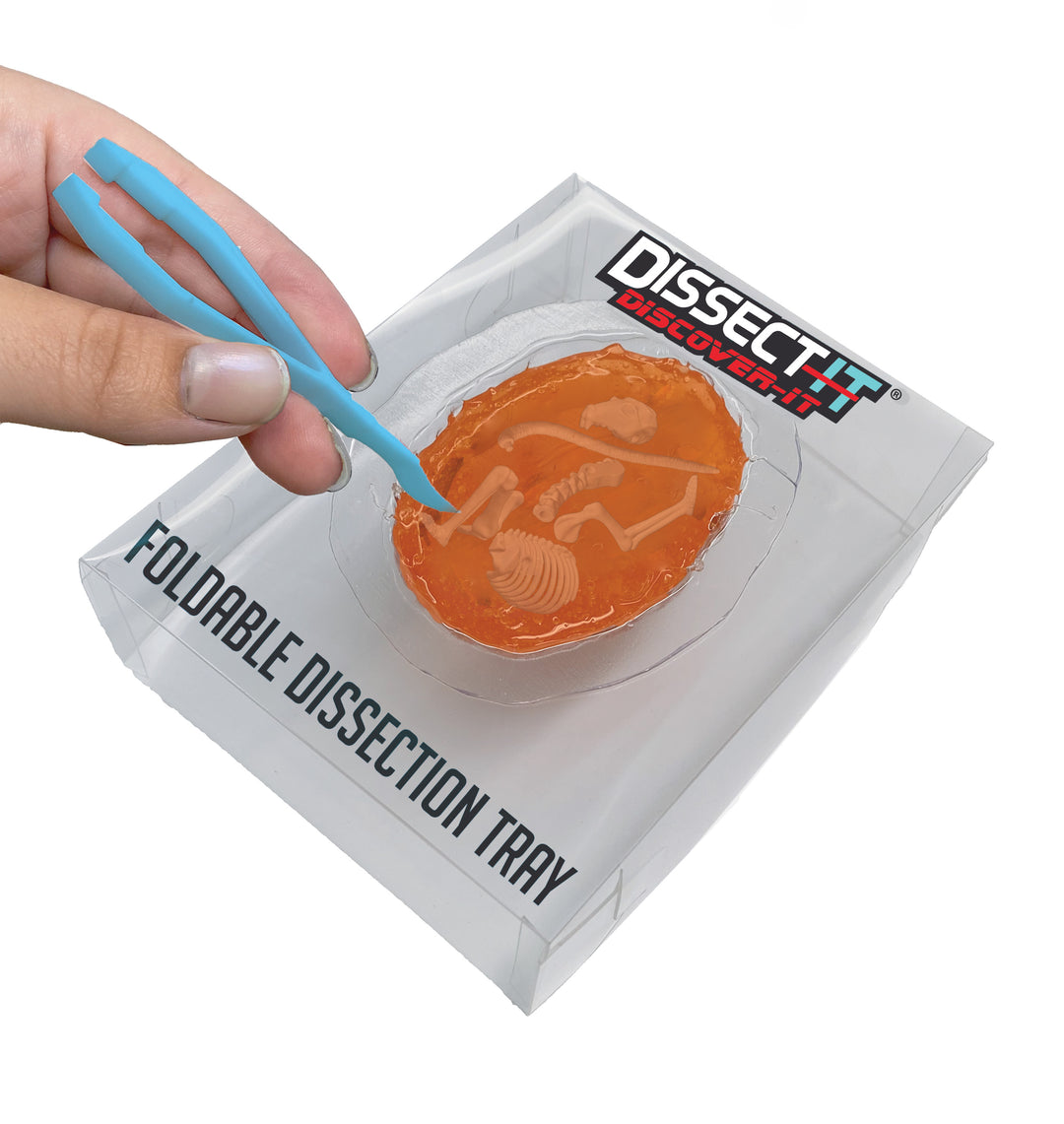 Dissect-It Discover-It – Top Secret Toys