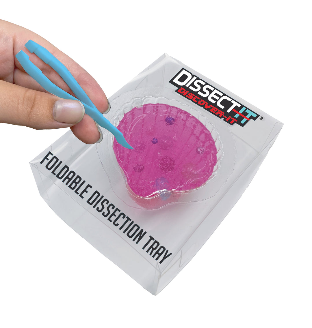 Spectrum Lab ミクロゴデス タワーセット ZX Spectrum Assembly. Let's make a game?: Rubio García, Juan